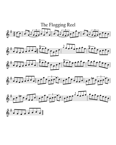 The flogging reel (Version 3) sheet music preview