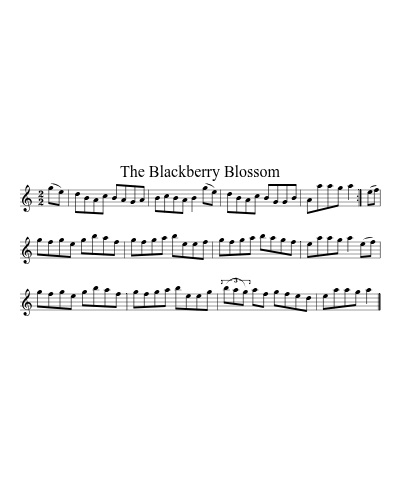 The blackberry blossom (Version 3)