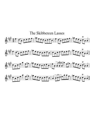 The Skibbereen lasses (Version 3) sheet music preview