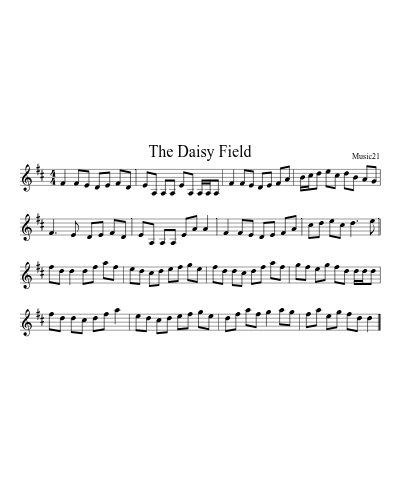 The Daisy Field