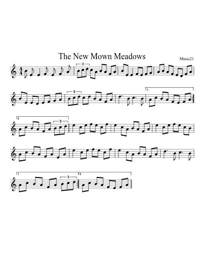 The New Mown Meadows