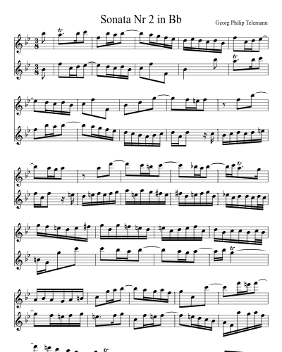 Sonata Nr 2 in Bb (Duet Sonata 2 Bb) preview