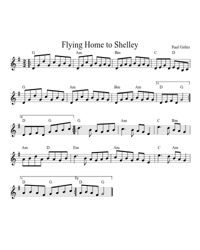 Flying Home to Shelley (Version 6)
