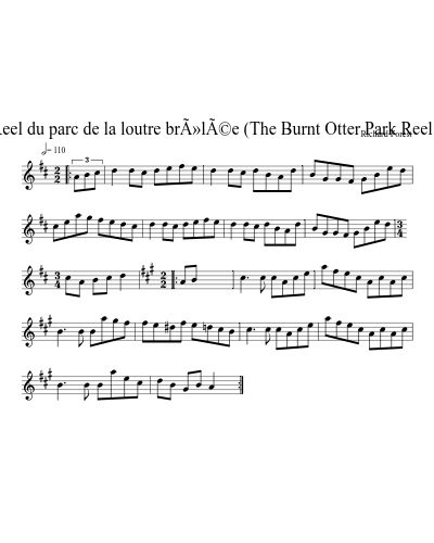 Reel du parc de la loutre brÃ»lÃ©e (The Burnt Otter Park Reel )