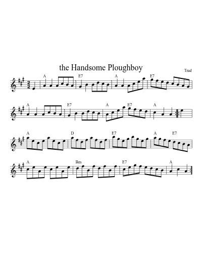 the Handsome Ploughboy