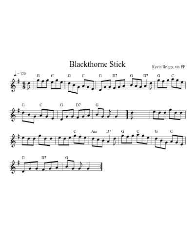 Blackthorne Stick