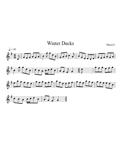 Winter Ducks