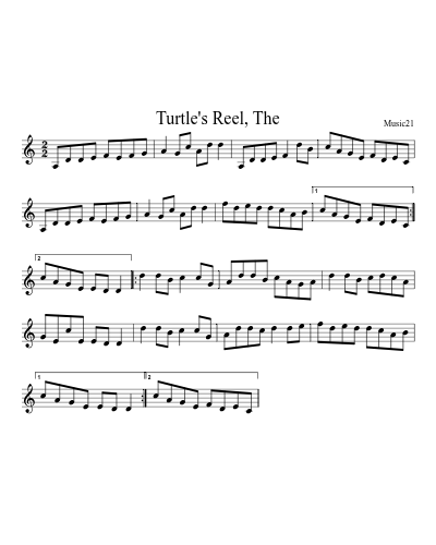 Turtle's Reel, The (Version 2) preview