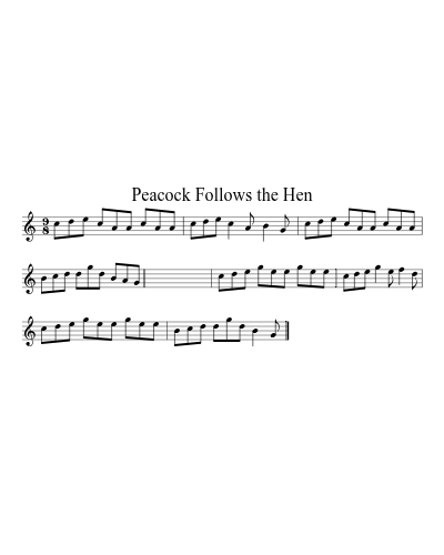 Peacock Follows the Hen