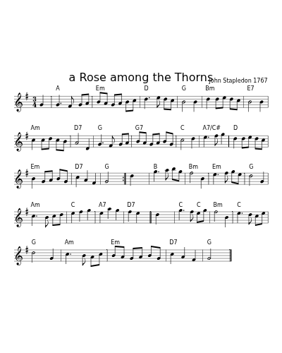 a Rose among the Thorns