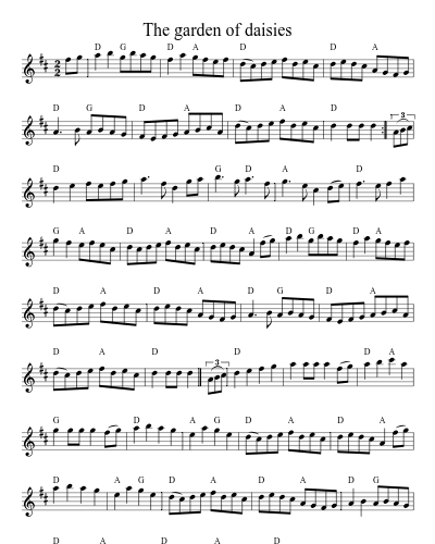 The garden of daisies