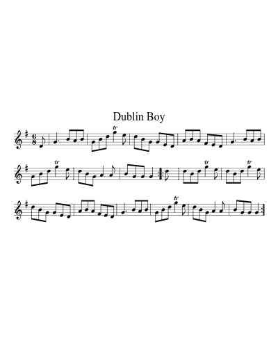 Dublin Boy (Sevenstars Dublinboy)