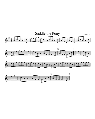 Saddle the Pony