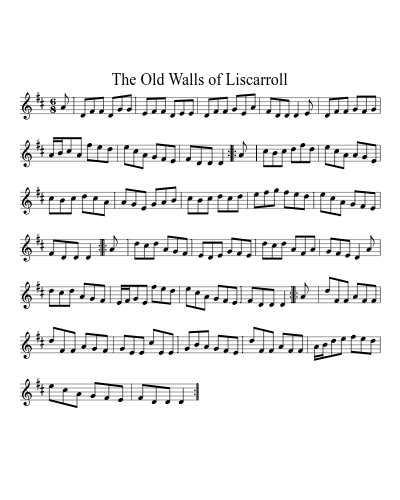 The Old Walls of Liscarroll