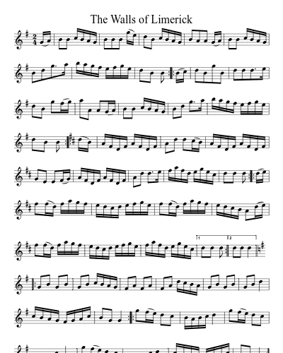 The Walls of Limerick