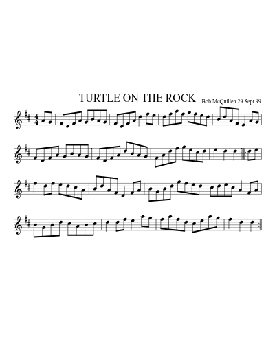 TURTLE ON THE ROCK (Version 2)