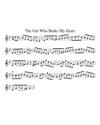 The girl who broke my heart (Version 2)