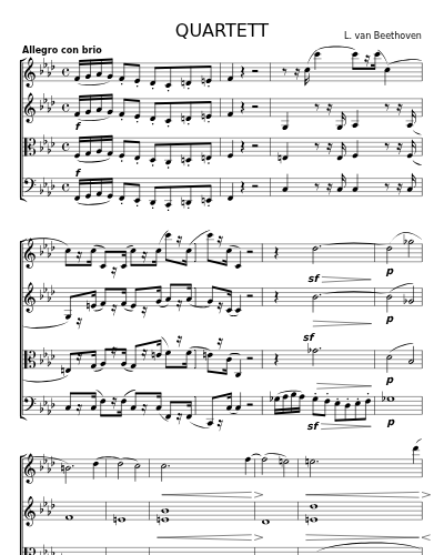 QUARTETT für 2 Violinen, Bratsche und Violoncello Op. 95  1st  Movevment preview