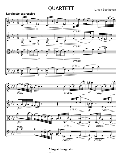 QUARTETT für 2 Violinen, Bratsche und Violoncello Op. 95  3rd  Movevment preview