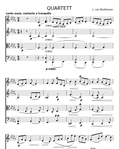 QUARTETT fur 2 Violinen, Bratsche und Violoncell Op.135  3rd Movement