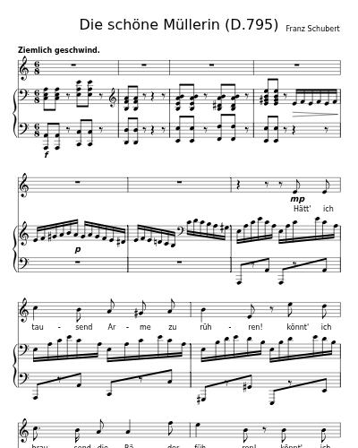 Am Feierabend (Die schöne Müllerin (D.795)) preview