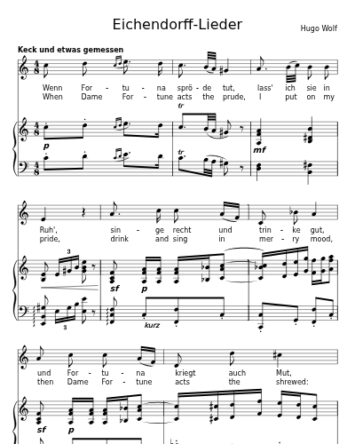 Der Glücksritter (Eichendorff-Lieder)