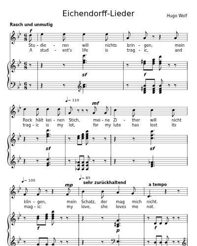 Der verzweifelte Liebhaber (Eichendorff-Lieder)