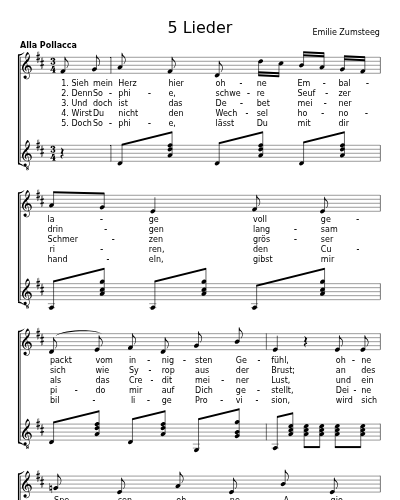 Des Kaufmanns Liebeswerbung (5 Lieder) preview