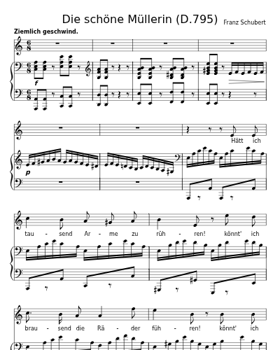 Am Feierabend (Die schöne Müllerin (D.795))