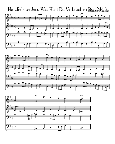 Herzliebster Jesu Was Hast Du Verbrochen Bwv244 3 preview