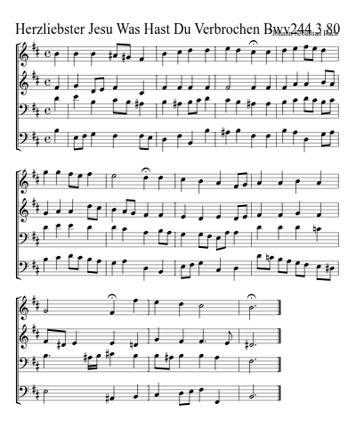 Herzliebster Jesu Was Hast Du Verbrochen Bwv244 3 80 preview