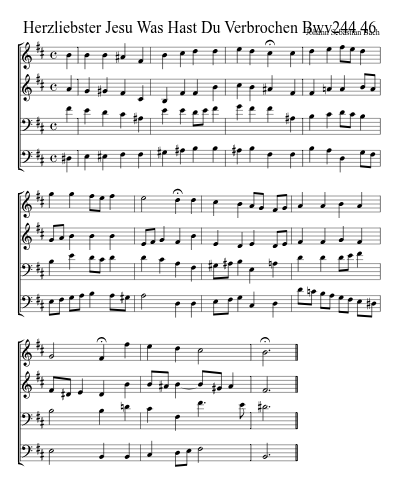 Herzliebster Jesu Was Hast Du Verbrochen Bwv244 46 preview