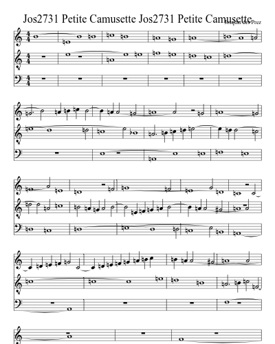 Jos2731 Petite Camusette Jos2731 Petite Camusette