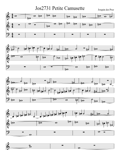 Jos2731 Petite Camusette