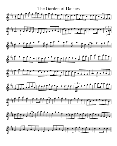 The garden of daisies (Version 2)